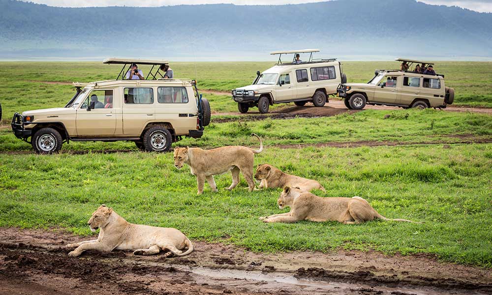 Ngorongoro